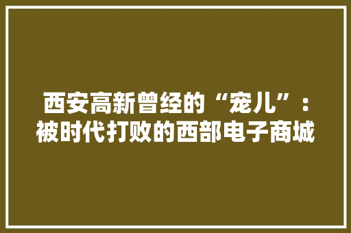 西安高新曾经的“宠儿”：被时代打败的西部电子商城 西安高新曾经的“宠儿”：被时代打败的西部电子商城 智能家居