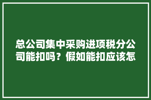 总公司集中采购进项税分公司能扣吗？假如能扣应该怎么扣？ 总公司集中采购进项税分公司能扣吗？假如能扣应该怎么扣？ 智能家居