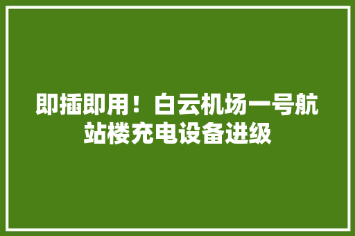 即插即用！白云机场一号航站楼充电设备进级 即插即用！白云机场一号航站楼充电设备进级 智能家居