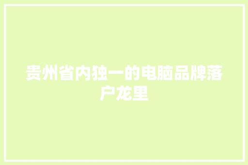 贵州省内独一的电脑品牌落户龙里