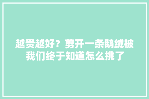越贵越好？剪开一条鹅绒被我们终于知道怎么挑了