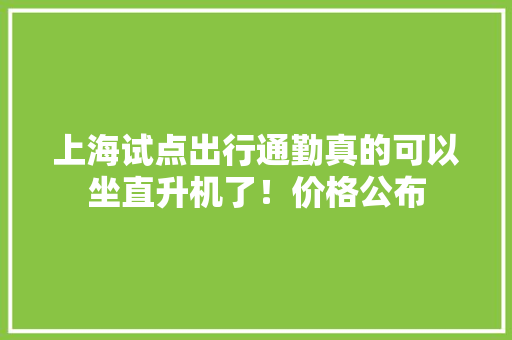 上海试点出行通勤真的可以坐直升机了！价格公布