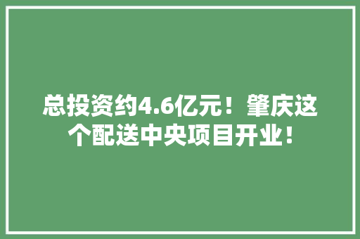 总投资约4.6亿元！肇庆这个配送中央项目开业！ 总投资约4.6亿元！肇庆这个配送中央项目开业！ 智能家居
