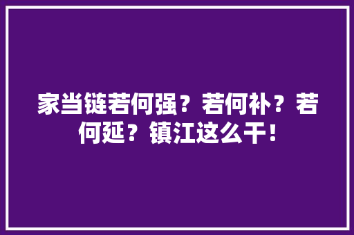 家当链若何强？若何补？若何延？镇江这么干！