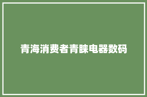 青海消费者青睐电器数码