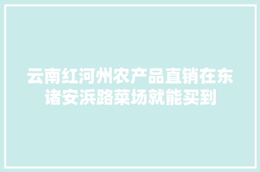 云南红河州农产品直销在东诸安浜路菜场就能买到