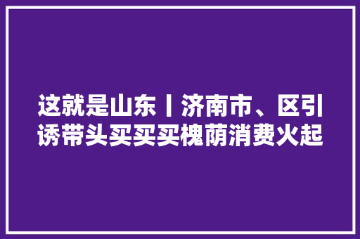 这就是山东丨济南市、区引诱带头买买买槐荫消费火起来