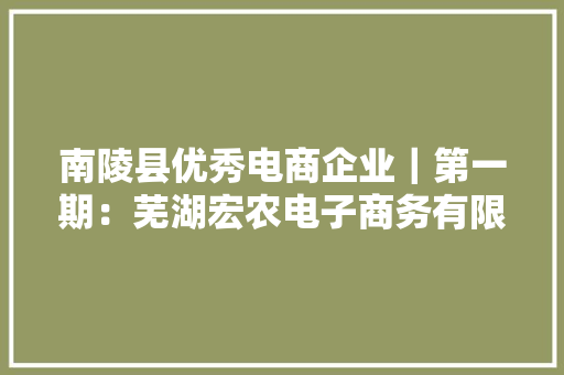 南陵县优秀电商企业｜第一期：芜湖宏农电子商务有限公司