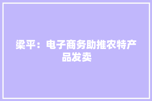 梁平：电子商务助推农特产品发卖