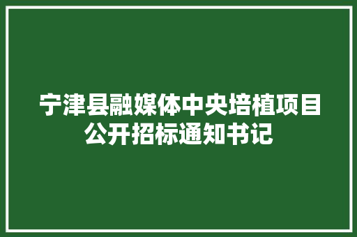 宁津县融媒体中央培植项目公开招标通知书记 宁津县融媒体中央培植项目公开招标通知书记 人工智能