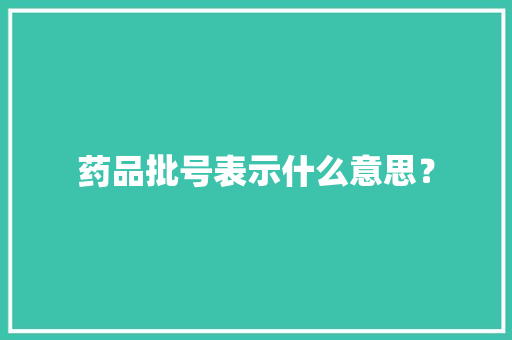 药品批号表示什么意思？ 药品批号表示什么意思？ 人工智能