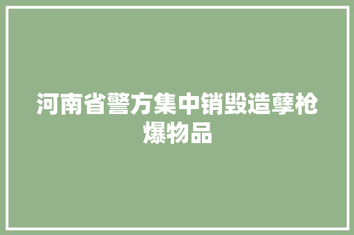 河南省警方集中销毁造孽枪爆物品 河南省警方集中销毁造孽枪爆物品 人工智能