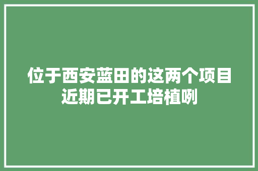 位于西安蓝田的这两个项目近期已开工培植咧