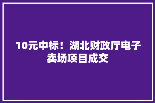 10元中标！湖北财政厅电子卖场项目成交 10元中标！湖北财政厅电子卖场项目成交 人工智能