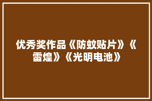 优秀奖作品《防蚊贴片》《雷煌》《光明电池》