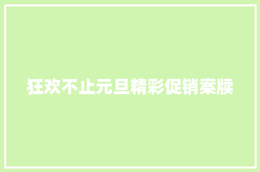 狂欢不止元旦精彩促销案牍