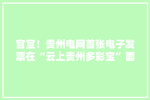 官宣！贵州电网首张电子发票在“云上贵州多彩宝”面世！