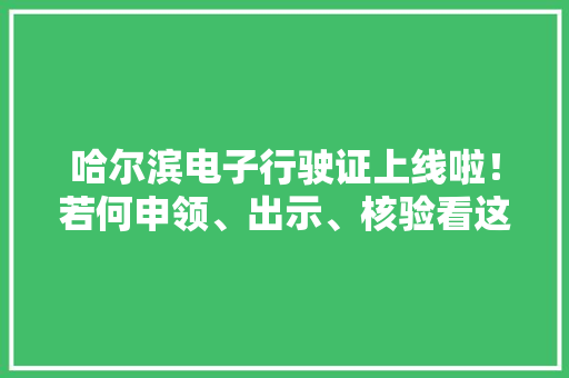 哈尔滨电子行驶证上线啦！若何申领、出示、核验看这里↘
