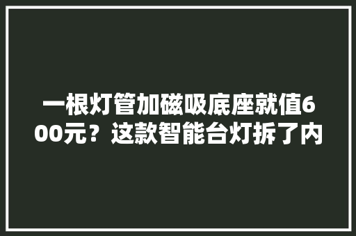 一根灯管加磁吸底座就值600元？这款智能台灯拆了内部这样设计