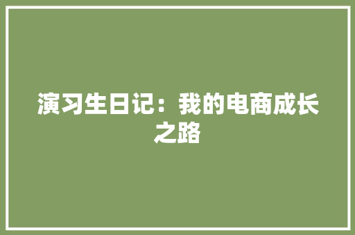 演习生日记：我的电商成长之路