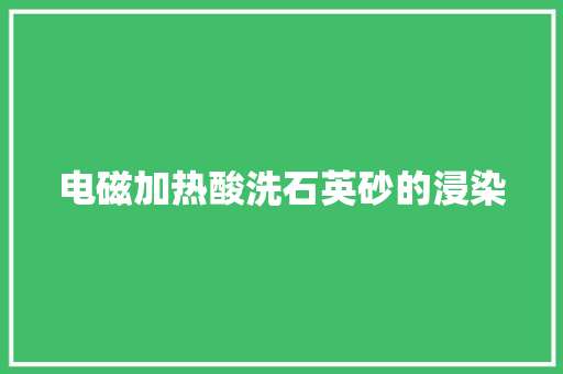 电磁加热酸洗石英砂的浸染