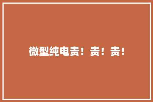 微型纯电贵！贵！贵！