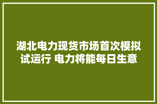 湖北电力现货市场首次模拟试运行 电力将能每日生意