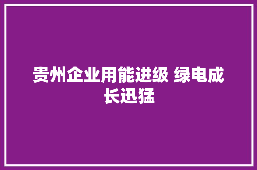 贵州企业用能进级 绿电成长迅猛 贵州企业用能进级 绿电成长迅猛 人工智能