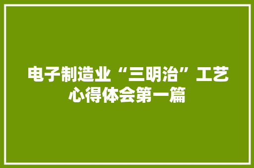 电子制造业“三明治”工艺心得体会第一篇