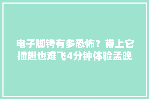 电子脚铐有多恐怖？带上它插翅也难飞4分钟体验孟晚舟的痛楚