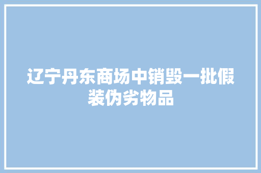 辽宁丹东商场中销毁一批假装伪劣物品