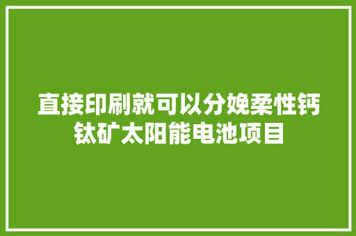 直接印刷就可以分娩柔性钙钛矿太阳能电池项目