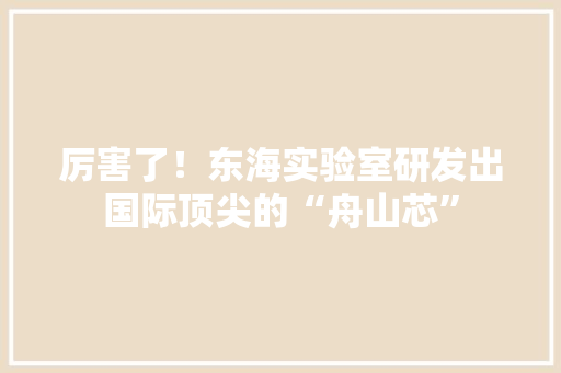 厉害了！东海实验室研发出国际顶尖的“舟山芯”