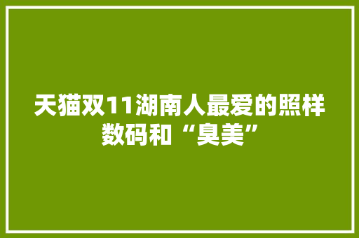 天猫双11湖南人最爱的照样数码和“臭美”