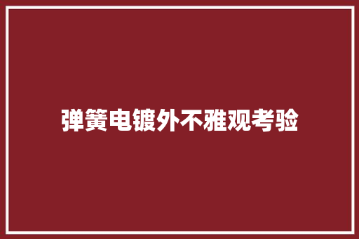 弹簧电镀外不雅观考验