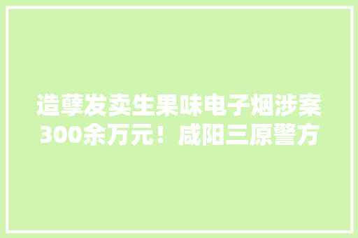 造孽发卖生果味电子烟涉案300余万元！咸阳三原警方破案