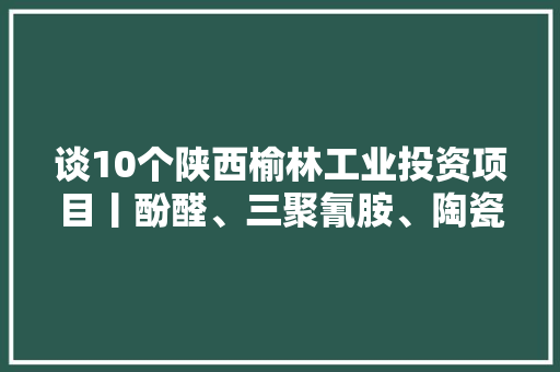 谈10个陕西榆林工业投资项目丨酚醛、三聚氰胺、陶瓷膜、多晶硅