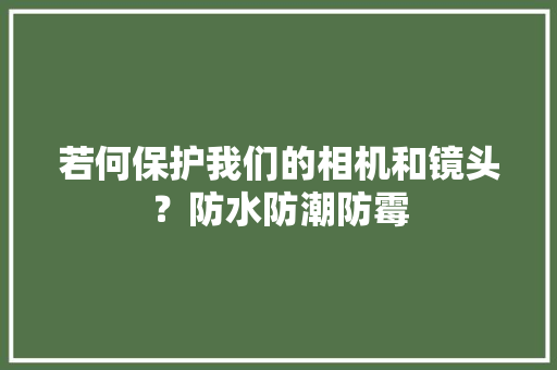 若何保护我们的相机和镜头？防水防潮防霉 若何保护我们的相机和镜头？防水防潮防霉 人工智能