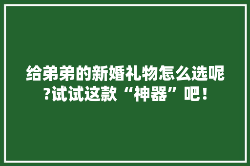 给弟弟的新婚礼物怎么选呢?试试这款“神器”吧！ 给弟弟的新婚礼物怎么选呢?试试这款“神器”吧！ 智能科技