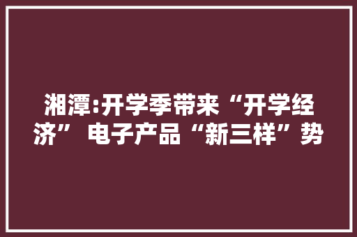 湘潭:开学季带来“开学经济” 电子产品“新三样”势头不减