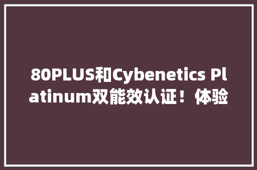 80PLUS和Cybenetics Platinum双能效认证！体验九州风神PX1000G WH电源