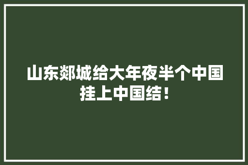 山东郯城给大年夜半个中国挂上中国结！