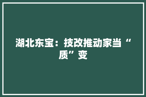 湖北东宝：技改推动家当“质”变