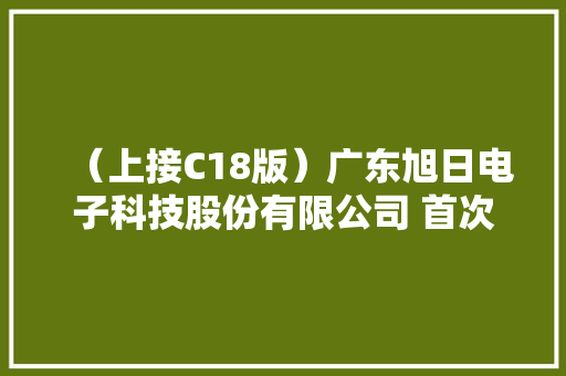 （上接C18版）广东旭日电子科技股份有限公司 首次公开拓行股票并上市招股意向书摘要（下转C20版）
