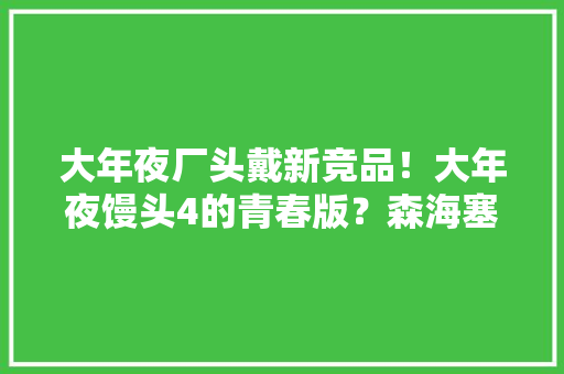 大年夜厂头戴新竞品！大年夜馒头4的青春版？森海塞尔全新系列ACCENTUM无线耳机评测