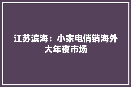 江苏滨海：小家电俏销海外大年夜市场