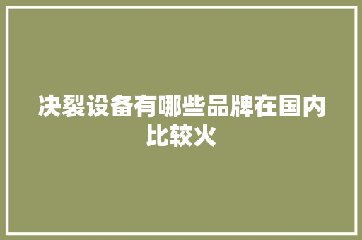 决裂设备有哪些品牌在国内比较火 决裂设备有哪些品牌在国内比较火 智能科技