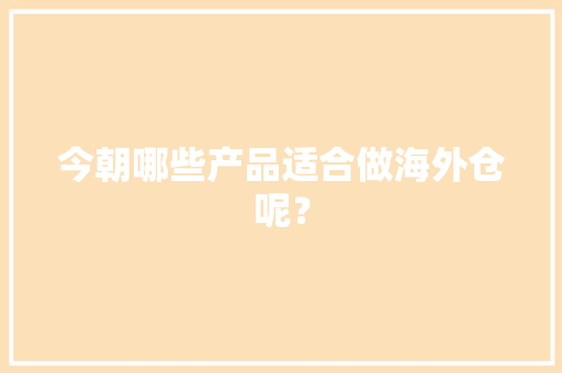 今朝哪些产品适合做海外仓呢？
