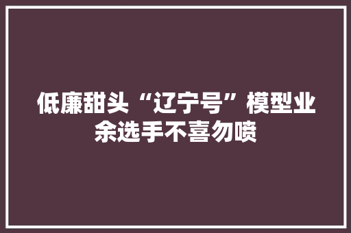 低廉甜头“辽宁号”模型业余选手不喜勿喷