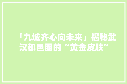 「九城齐心向未来」揭秘武汉都邑圈的“黄金皮肤” 「九城齐心向未来」揭秘武汉都邑圈的“黄金皮肤” 互联通信